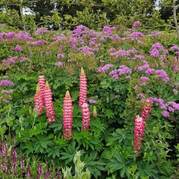 irland rundreise 2025_24